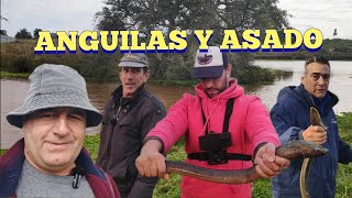 Regresaron las anguilas gigantes en Pesca en agua dulce [upl. by Broderic181]