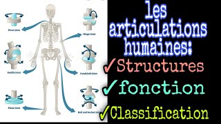 Larthrologie généralitésdéfinition et classification articulaire [upl. by Hgielrahc]