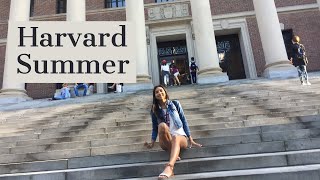 HOW TO GET INTO HARVARD PRECOLLEGE PROGRAM [upl. by Zeuqram]