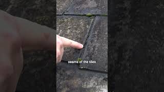 Unexpected Roof Problems Revealed During Cleaning [upl. by Cassy480]