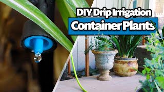 Plastic Bottle Drip Water Irrigation System Very Simple Easy ll DIY home drip irrigation system [upl. by Llennor]