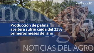 🔴 Producción de palma aceitera sufrió caída del 23 en primeros meses del año  NDA [upl. by Anolla]