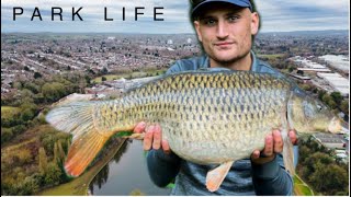 CARP FISHING IN BIRMINGHAM  LIMITED TIME  OFFDEWIND [upl. by Player706]