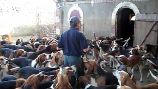 Preparing to Feed the Hounds of Château de Cheverny [upl. by Zel]