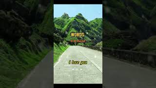 Words Dont come easy FRDavid music love song lyrics video [upl. by Anitsyrk]