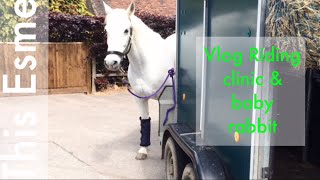 Vlog  Riding Clinic amp Baby rabbit  This Esme [upl. by Narruc436]