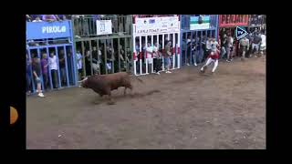 Salida del segundo toro de arcadio albarran en Almazora imágenes almazora tv el día 101024 [upl. by Delgado]