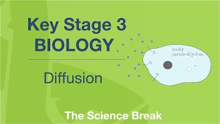 Key Stage 3 Science Biology  Diffusion [upl. by Rorie]