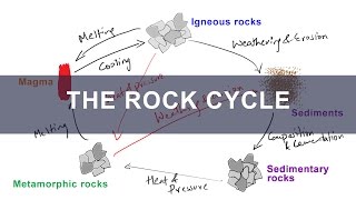 Rock Cycle  Formation of Igneous Metamorphic Sedimentary Rocks  Geology [upl. by Geraldine]