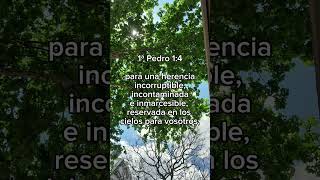 INCORRUPTIBLE INCONTAMINADA INMARCESIBLE cristo jesus shorts reflexion fe biblia cristo [upl. by Keelia345]