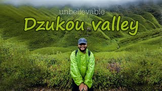 MOST BEAUTIFUL PLACE ON EARTH  DZUKOU VALLEY NAGALAND  MYANMAR [upl. by Boru]