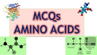 Amino Acids MCQs Part 4 [upl. by Finah729]