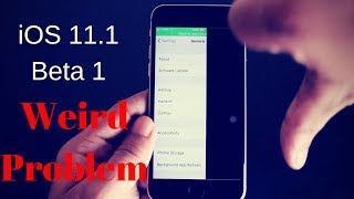 HINDI iOS 111 Beta 1 Display Problem Black screen [upl. by Thagard]