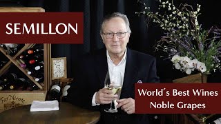 Worlds Best Wines  Noble Grapes  Semillon [upl. by Draned]