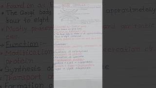 Golgi Apparatus Diagram  Golgi Apparatus Structure And Function [upl. by Seadon]