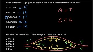 How to find which DNA is more stable [upl. by Ednarb]