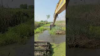 Amphibious Excavator Clearing River ChannelsCleaning Water Weeds [upl. by Enillebyam]