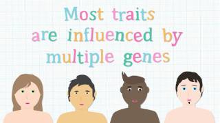 What is meant by genetic difference [upl. by Ragg]