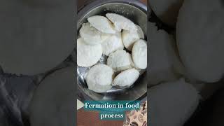 fermentation in food process role of yeast and bacteria in Fermentation process microorganisms [upl. by Linette]