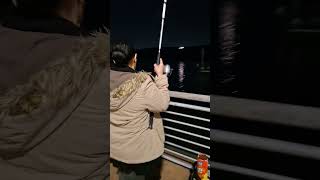 Catch and release striped bass at the Pier [upl. by Nary243]