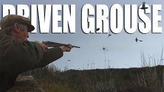 Driven Grouse Shoot in Cumbria [upl. by Ahsiki]