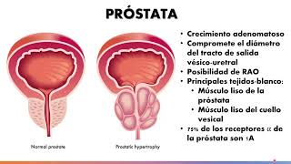 Farmacología del sistema adrenérgico Parte 33  Dr Martín Hornos [upl. by Ahsiaa]