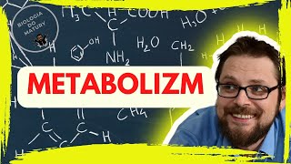 Podstawowe zasady metabolizmu  Szlak cykl metaboliczny  ATP  Anabolizm katabolizm  Redox NAD [upl. by Aroon]