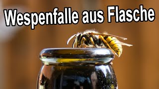 DIY Wespenfalle aus Pet Flasche selber bauen  Fliegenfalle selbst machen  Wespen vertreiben fangen [upl. by Sixel]