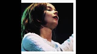 Björk  Big Time Sensuality Live MTV Unplugged 1994 [upl. by Oiramed716]