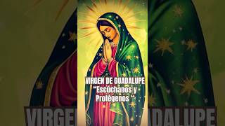 LA VIRGEN DE GUADALUPE 🌹 Refugio en los momentos difíciles virgendeguadalupe oraciónpoderosa [upl. by Naletak]