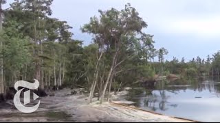 Sinkhole in Louisiana Swallows Trees  Caught on Tape 2013  The New York Times [upl. by Palmira5]