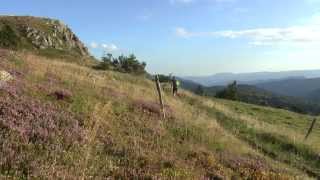 LachampRaphaël  courir en montagne ardéchoise [upl. by Malarkey]