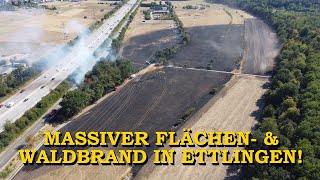 ERSTVIDEO  MASSIVER FLÄCHEN amp WALDBRAND   16 HEKTAR  FEUERWEHREN im GROSSEINSATZ  ETTLINGEN [upl. by Anselm]