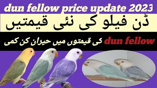 dun fallow lovebirds price in pakistan 2023  dun fellow lovebirds ke nai kimet  rate list lovebird [upl. by Stubbs]