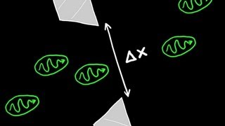 Heisenbergs Uncertainty Principle Explained [upl. by Mcclure314]