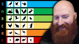 Xeno Reacts to The Bird Tier List by TierZoo [upl. by Eemak858]