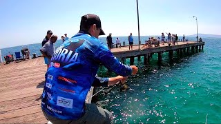 BIG FISH  JETTY FISHING [upl. by Ronni281]