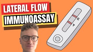 Lateral Flow Immunoassay LFIA EXPLAINED [upl. by Ahsuatal751]