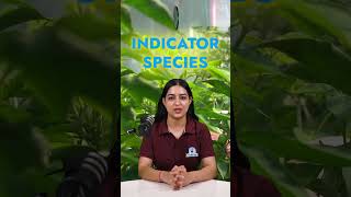 What Are Indicator Species Environmental Science Insights 🌿 Role of Indicator Species in Ecosystems [upl. by Ornas954]