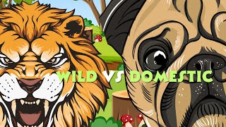 Wild vs Domestic Animals Learn the Differences for Kids 🦁🐶 [upl. by Ssew]