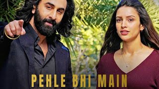 ANIMAL  Pehle Bhi Main  Loop Song [upl. by Annayhs]