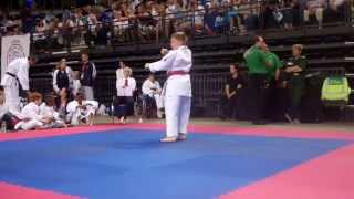 GKR Karate World Cup 2015 KIERAN DUNCAN Kata Bassai Dai [upl. by Orutra]