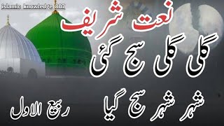 Gali Gali Saj Gayi Rabi Ul Awal Milad Naat 2024 Official Video Hafiz Tahir Qadri [upl. by Elum375]