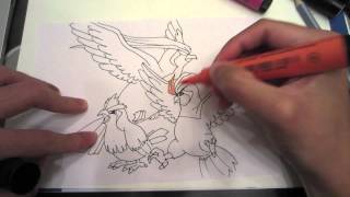 How to draw Pokemon No14 Pidgey No15 Pidgeotto No16 Pidgeot [upl. by Ainud955]