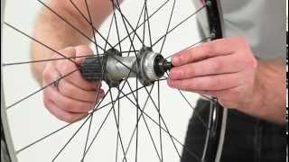 How to service your Shimano hubs [upl. by Neddie986]