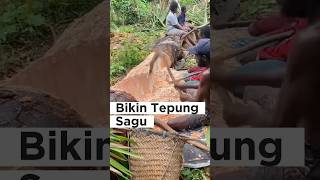 Unik Banget‼️Proses Tradisional Bikin Tepung Sagu⁉️🤔 shorts viralvideos [upl. by Airla215]