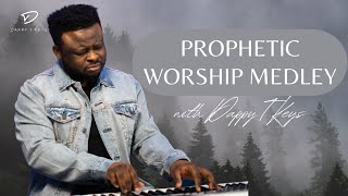 3 Hour Instrumental Worship Prophetic Soaking Worship  Prayer Background Music [upl. by Norm720]