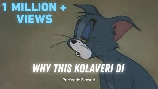 Why This Kolaveri Di  Dhanush Perfectly Slowed 𝗟𝗢𝗡𝗘𝗟𝗬 𝗟𝗢𝗙𝗜 𝗚𝗨𝗬 [upl. by Evaleen]