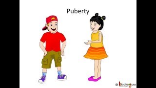 Biology  What happens during adolescence and puberty  English [upl. by Allecsirp]