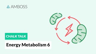 Energy Metabolism  Part 6 The Citric Acid Cycle with molecular structures [upl. by Salina]